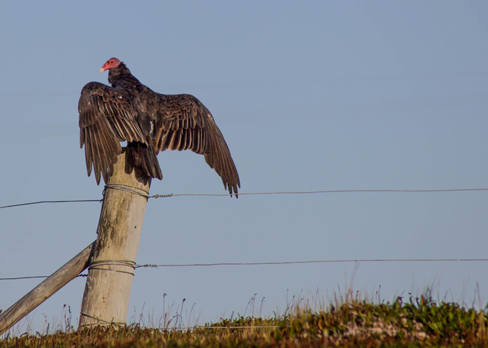 Stacks Image 64