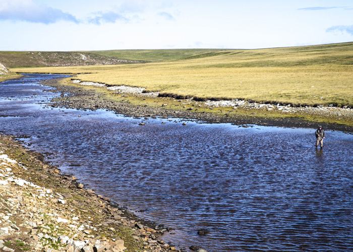 Stacks Image 32
