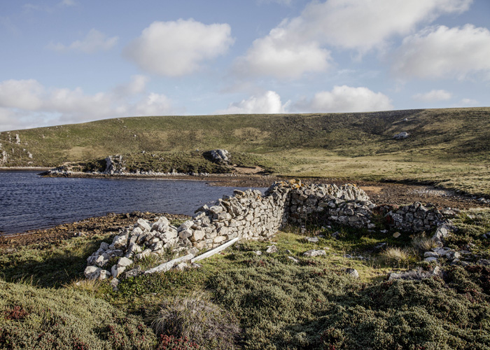 Stacks Image 42
