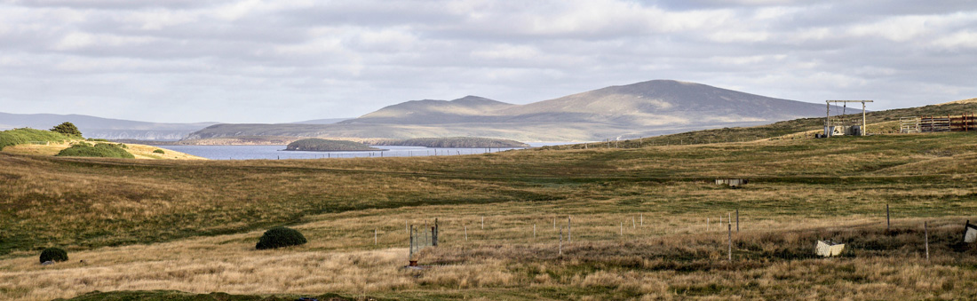 Stacks Image 41