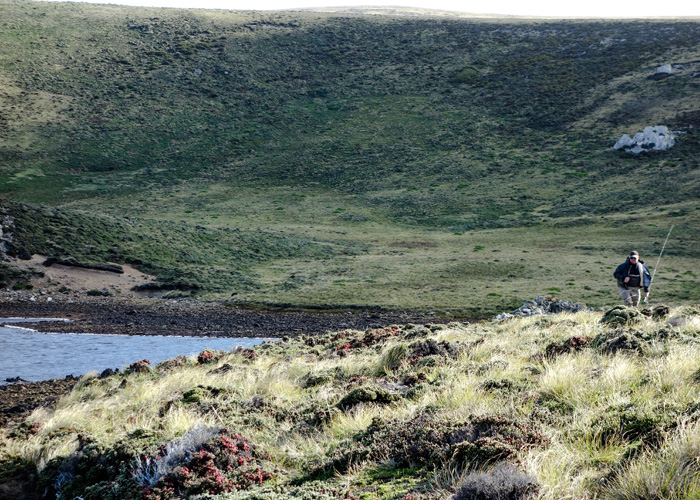 Stacks Image 13