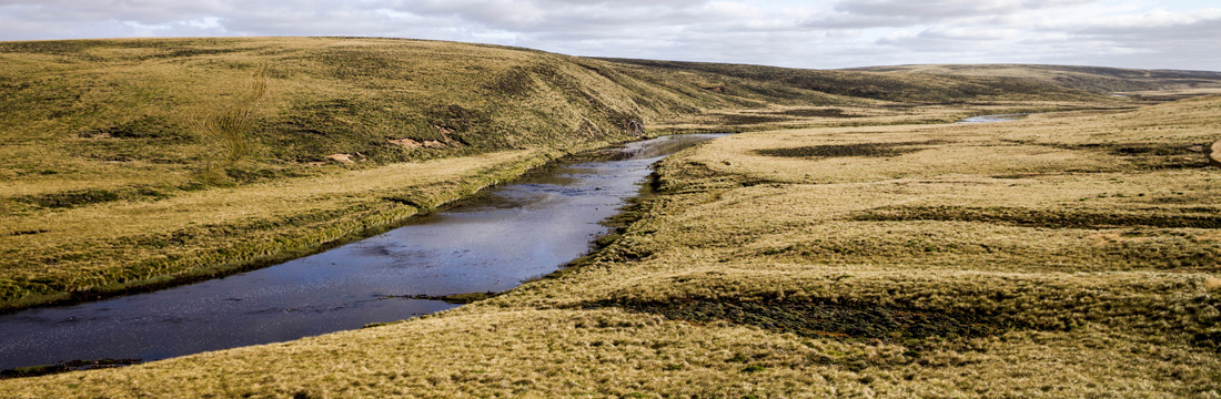 Stacks Image 20