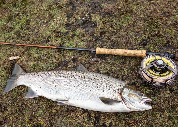 Stacks Image 59