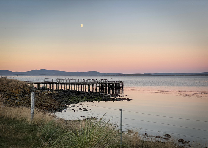 Stacks Image 198