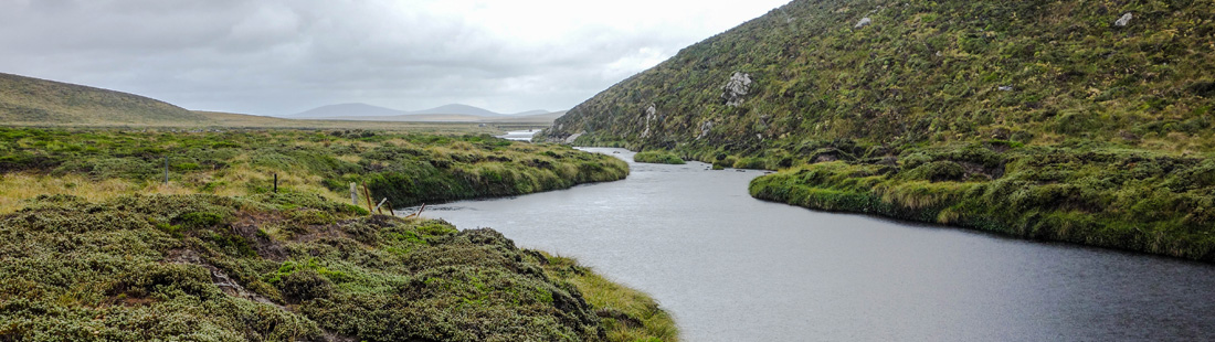 Stacks Image 41