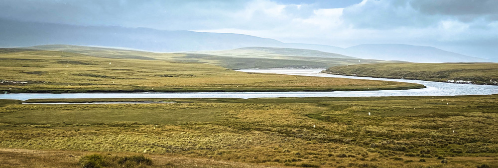 Stacks Image 95