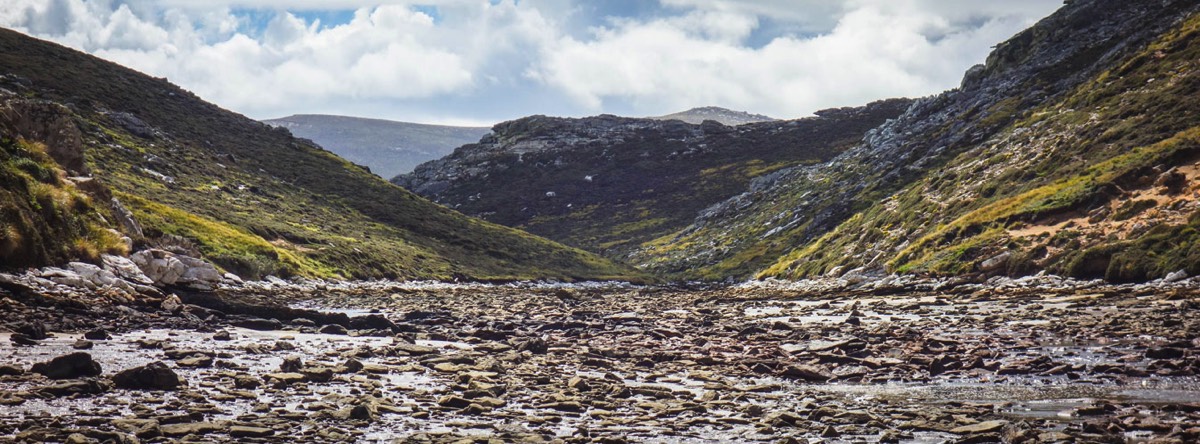 Stacks Image 44