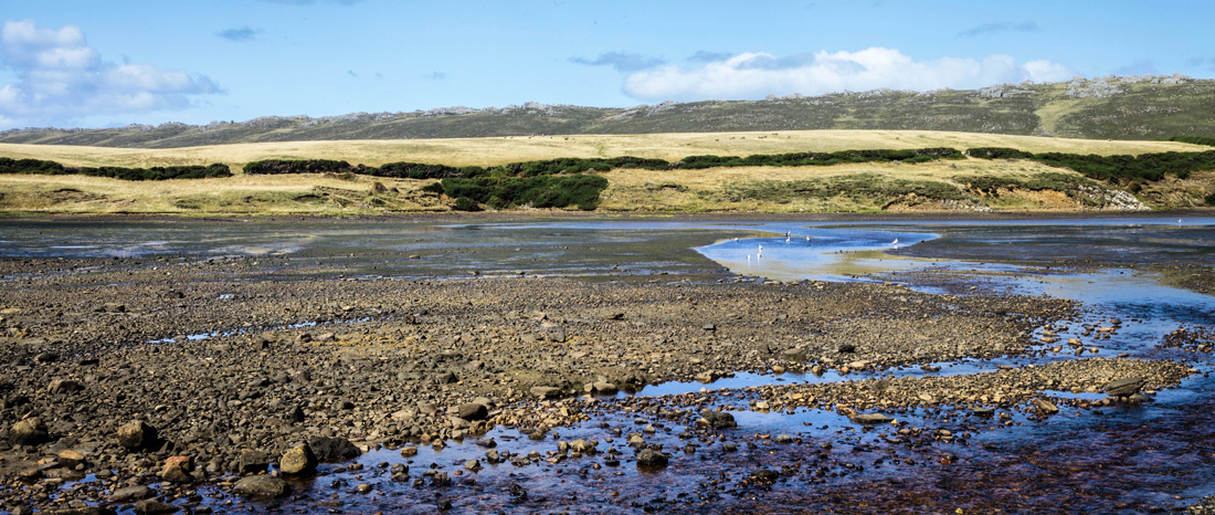 Stacks Image 76
