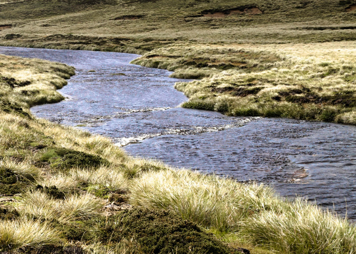 Stacks Image 42