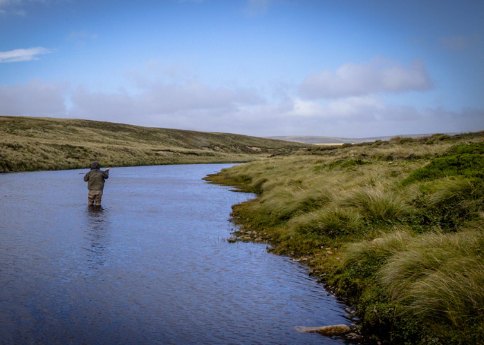 Stacks Image 70