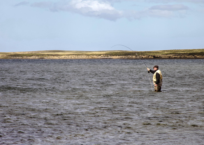 Stacks Image 98