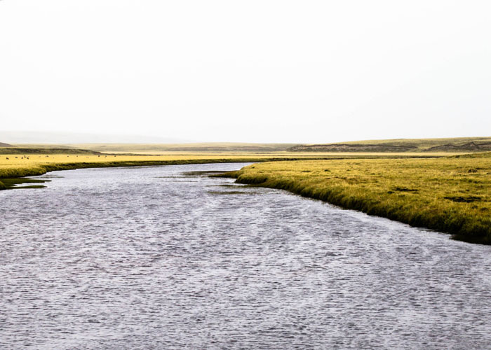 Stacks Image 106