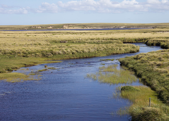 Stacks Image 68