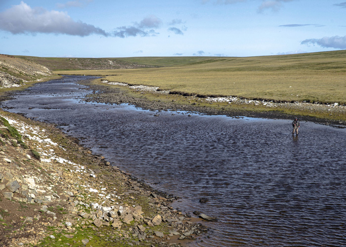 Stacks Image 72