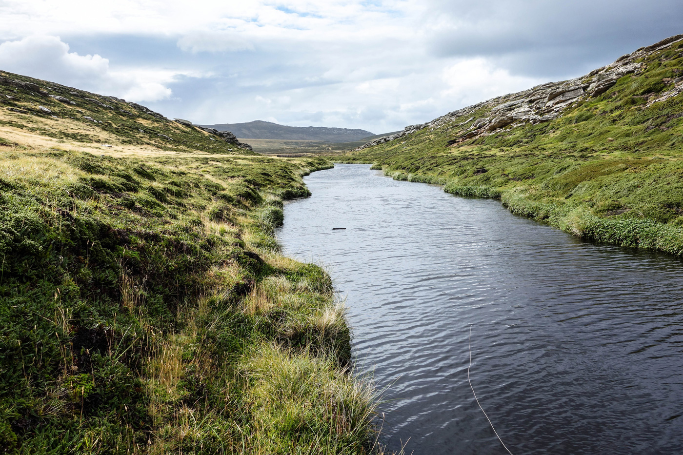 Fly Fishing on the Falkland Islands