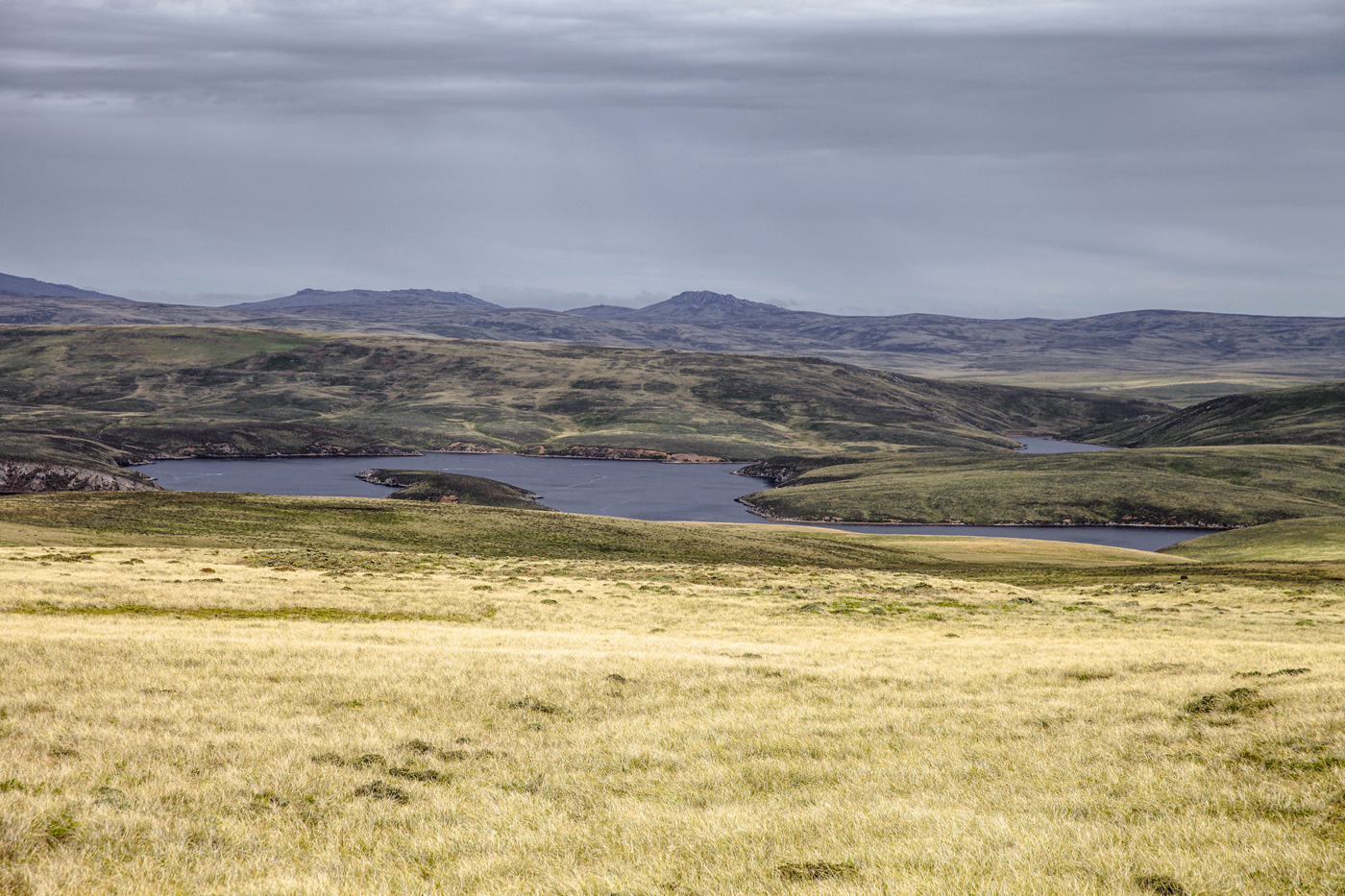 Fly Fishing on the Falkland Islands