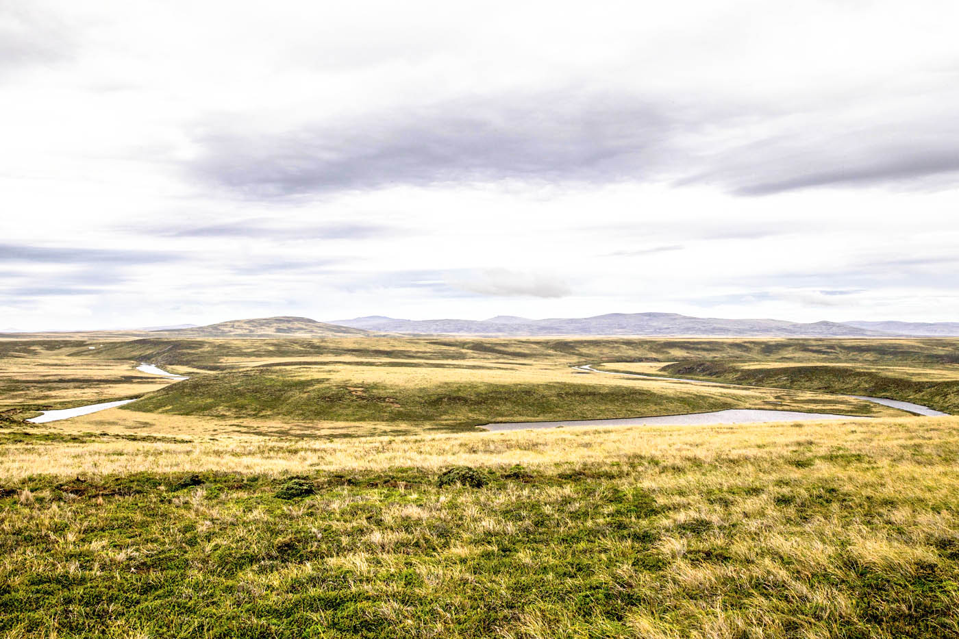 Fly Fishing on the Falkland Islands