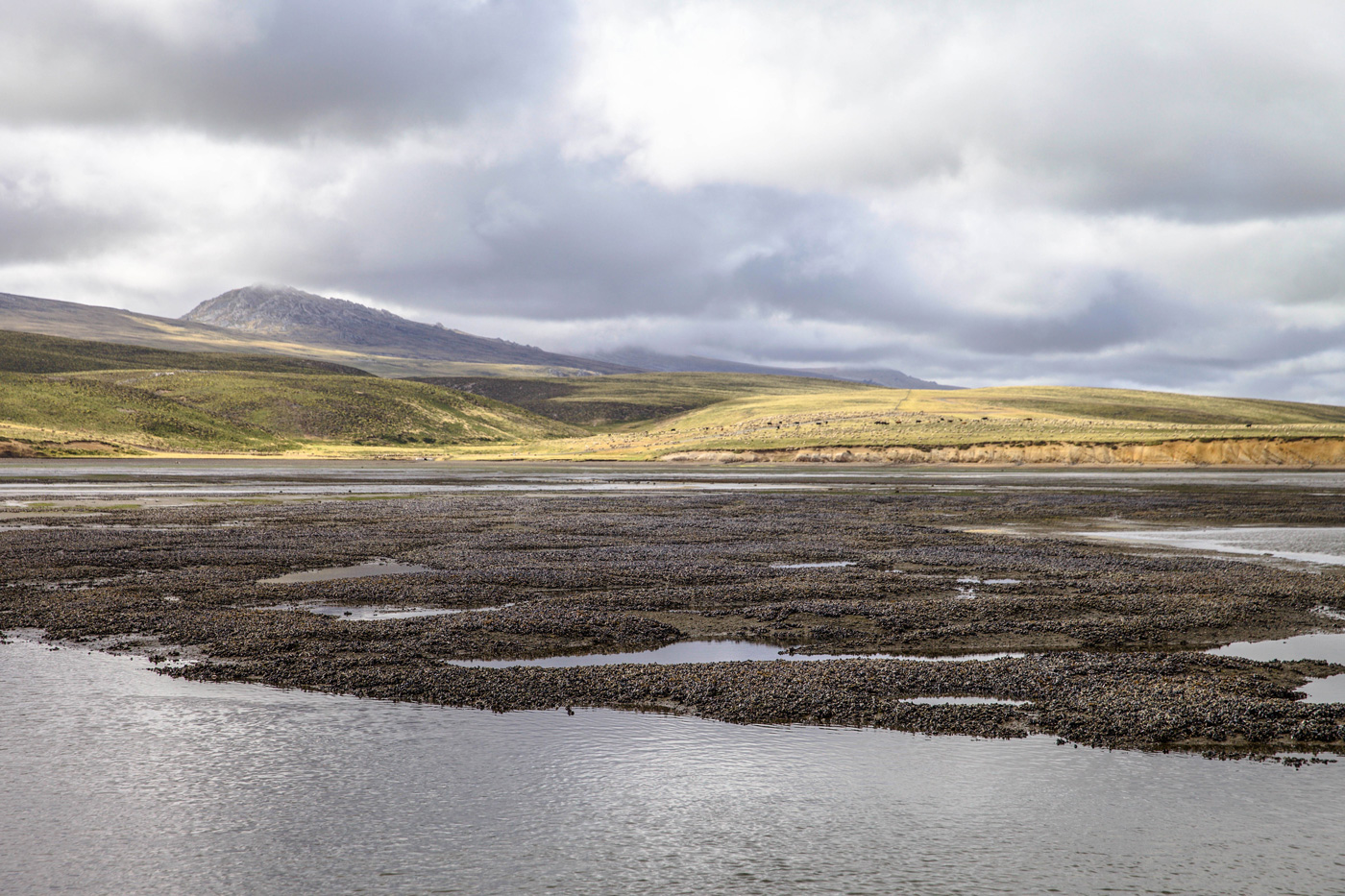 Fly Fishing on the Falkland Islands
